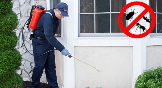 Havsa Tahtakurusu İlaçlama böcek ilaçlama ve haşere kontrolü — ilaclama-tr.com